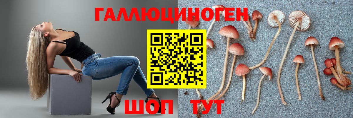 Псилоцибиновые грибы GOLDEN TEACHER Вятские Поляны