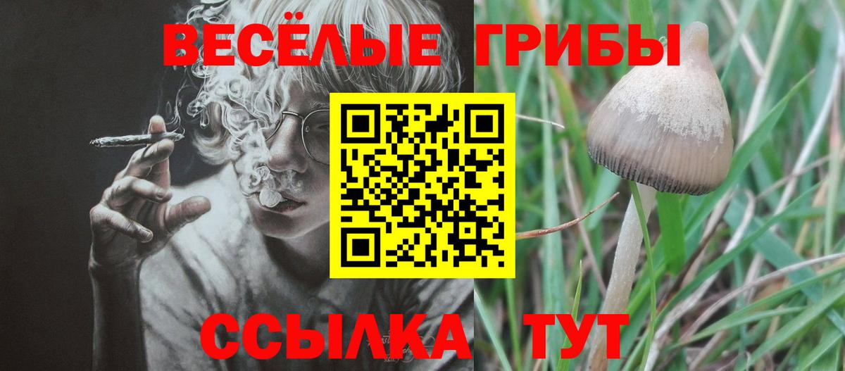 Галлюциногенные грибы прущие грибы  Вход с VPN  Галлюциногенные грибы мухоморы  Вятские Поляны 